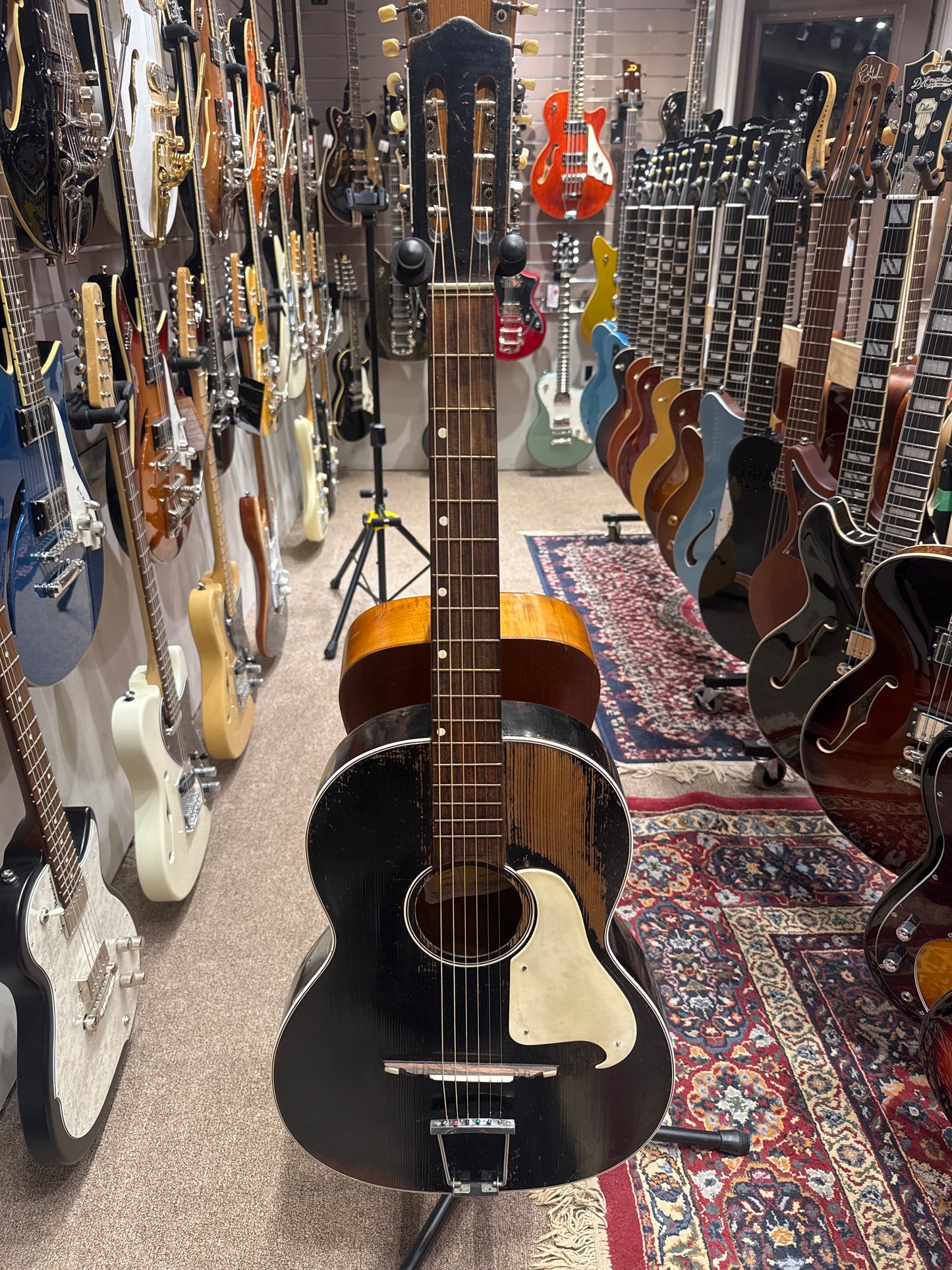 Framus Capinera Milano 1956 - Fair