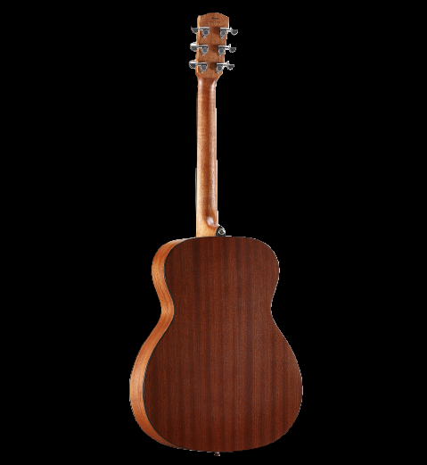 Alvarez AF30 Acoustic Guitar