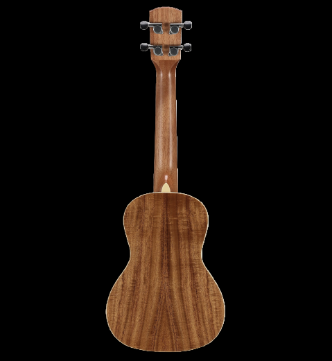 Alvarez AU90C Concert Ukulele