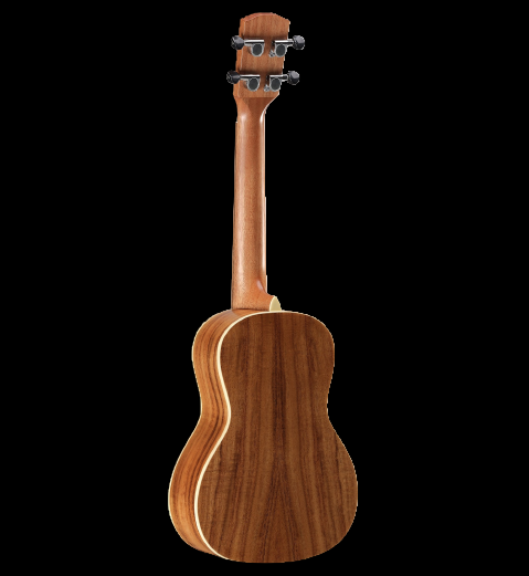 Alvarez AU90C Concert Ukulele