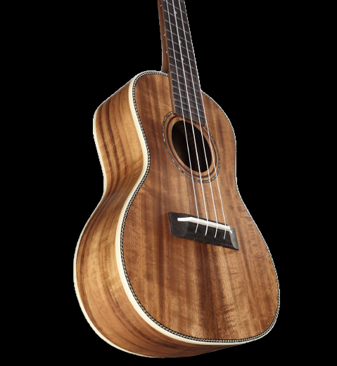 Alvarez AU90C Concert Ukulele