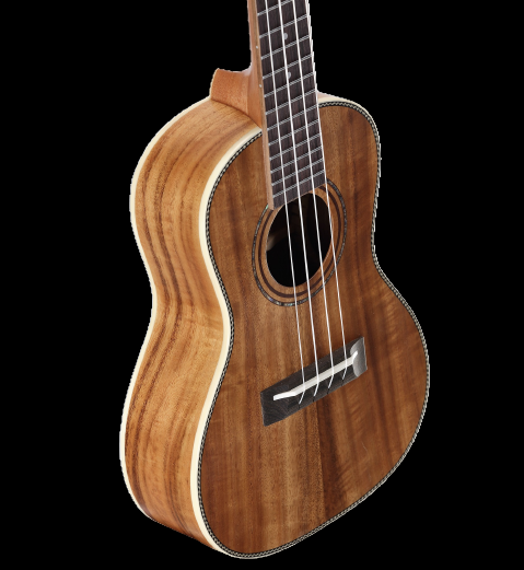 Alvarez AU90C Concert Ukulele