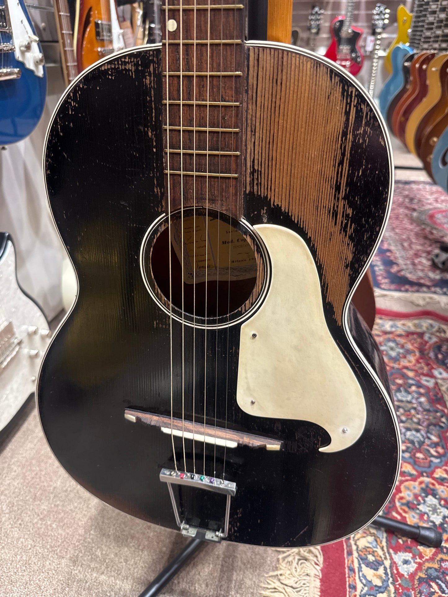 Framus Capinera Milano 1956 - Fair