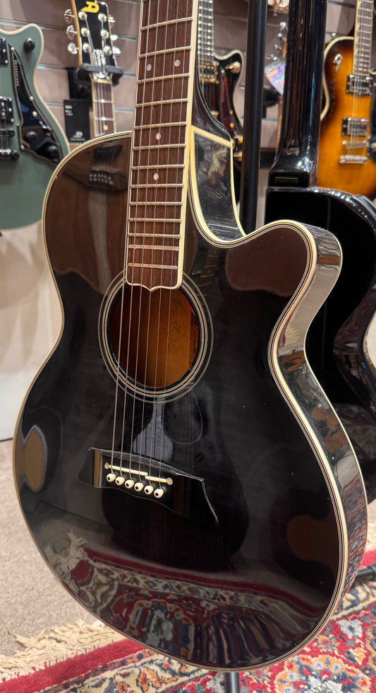 Takamine EF591ME - Fair