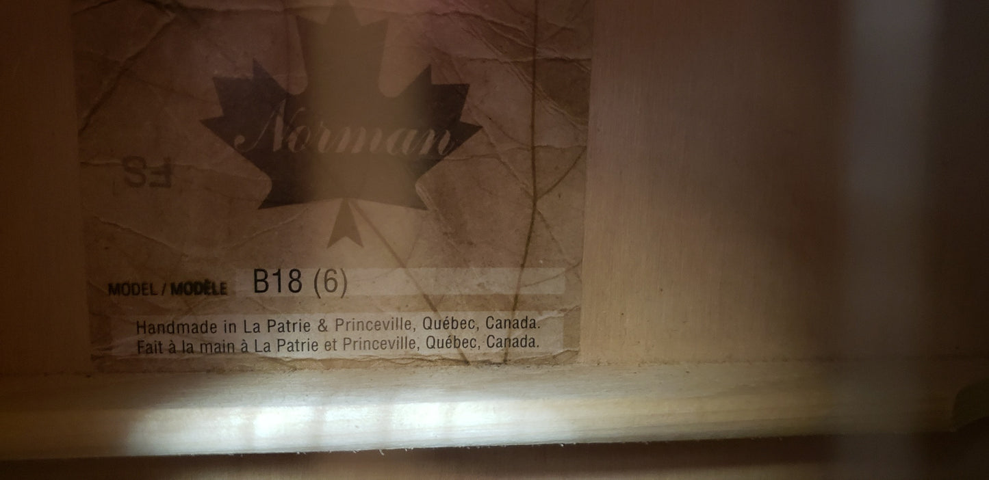 Norman B18 6-String Cedar Acoustic Guitar