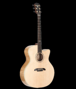 Alvarez electric online guitar