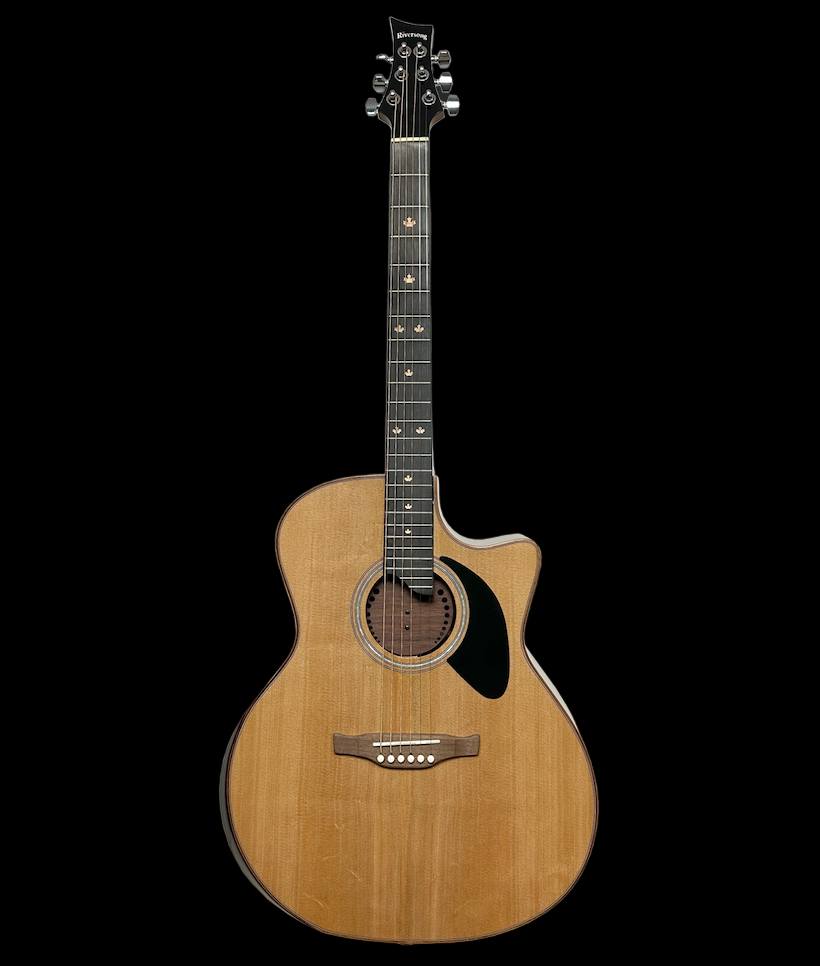 Riversong Dragon Slayer 12 (P555CE-A-12) 12 String Acoustic Guitar