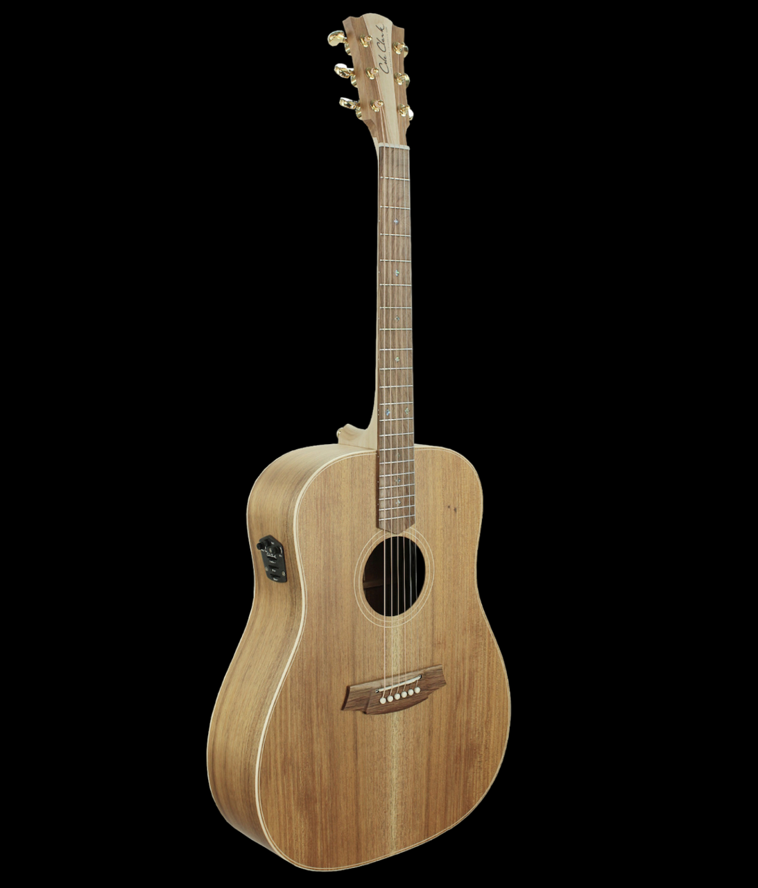 Cole Clark Fat Lady 2 Blackwood CCFL2EC-BLBL Acoustic Guitar