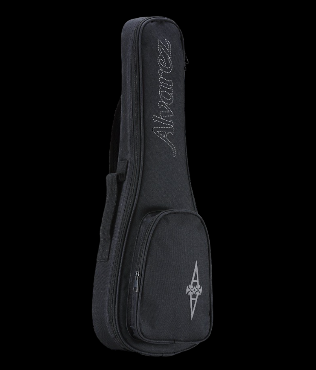Alvarez gig bag sale