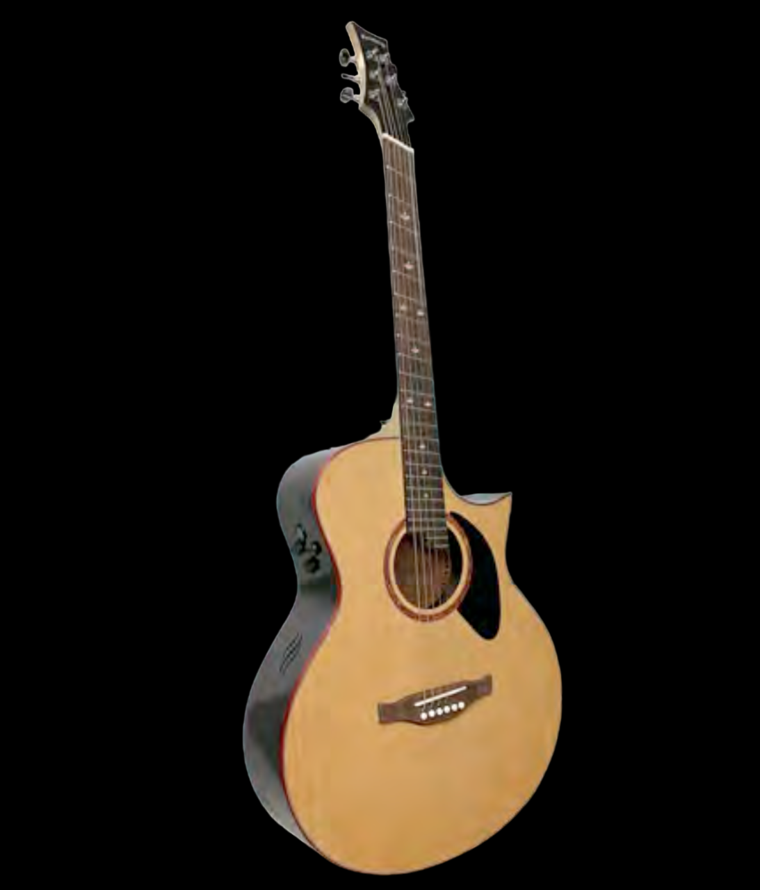 Riversong P2PGA-CS (fanned frets) Acoustic Guitar