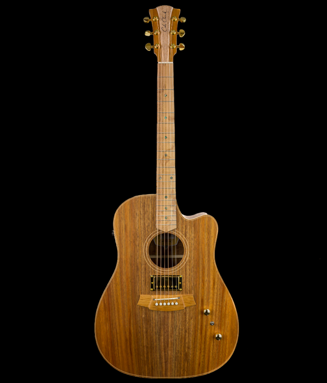 Cole Clark FL2EC-BLBL-HUM Fat Lady 2 Series Acoustic Guitar – The Cole Clark FL2EC-BLBL-HUM Fat Lady 2 Series Acoustic Guitar – The
