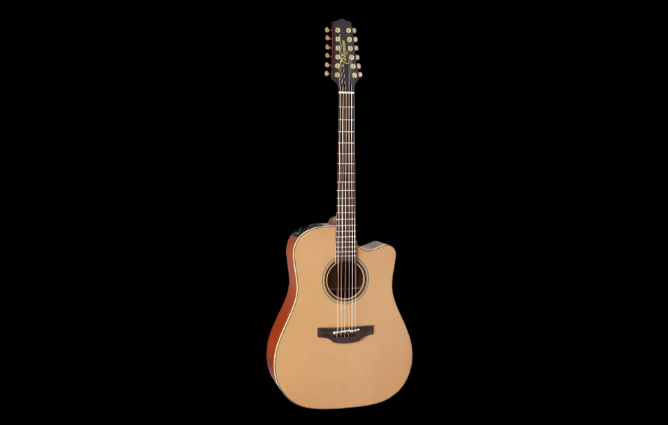 Takamine P3DC 12