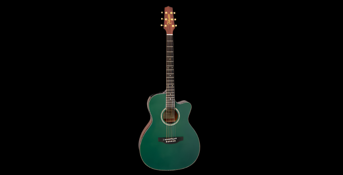 Takamine Limited Edition - Model LTD2025