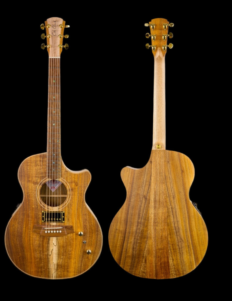 Cole Clark True Hybrid Thinline CCTL2EC-BLBL-HUM Acoustic Guitar