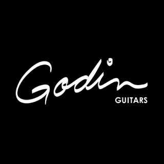 Godin Amps