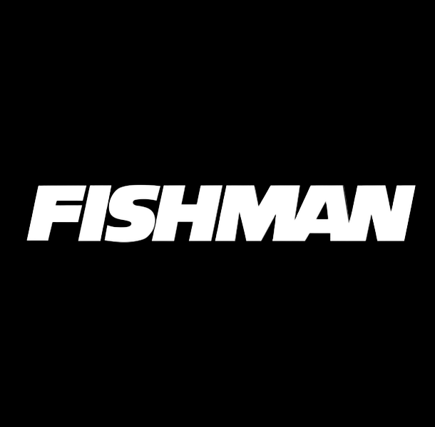 Fishman Pa Amps – The Guitar Boutique