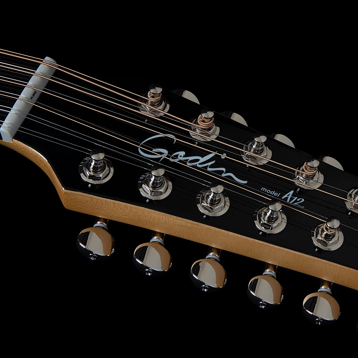 Godin A12 Black HG  Electric Acoustic 12 String Guitar