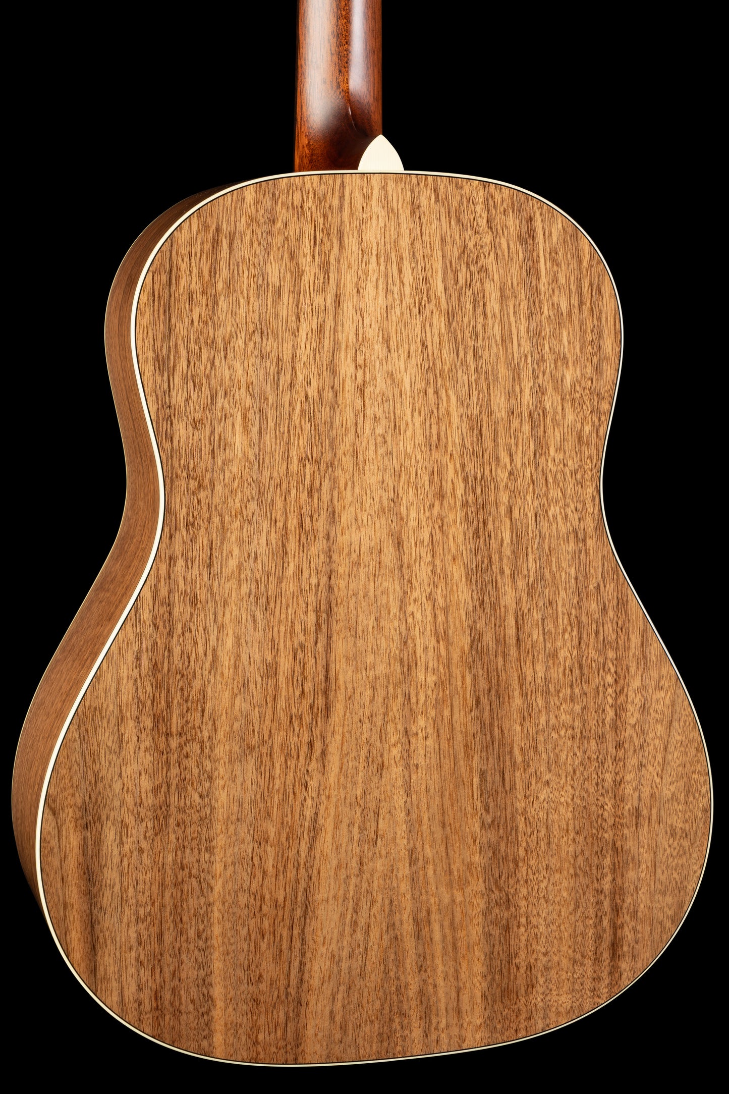 Bourgeois Downeast Series SDS/DE Walnut-LE