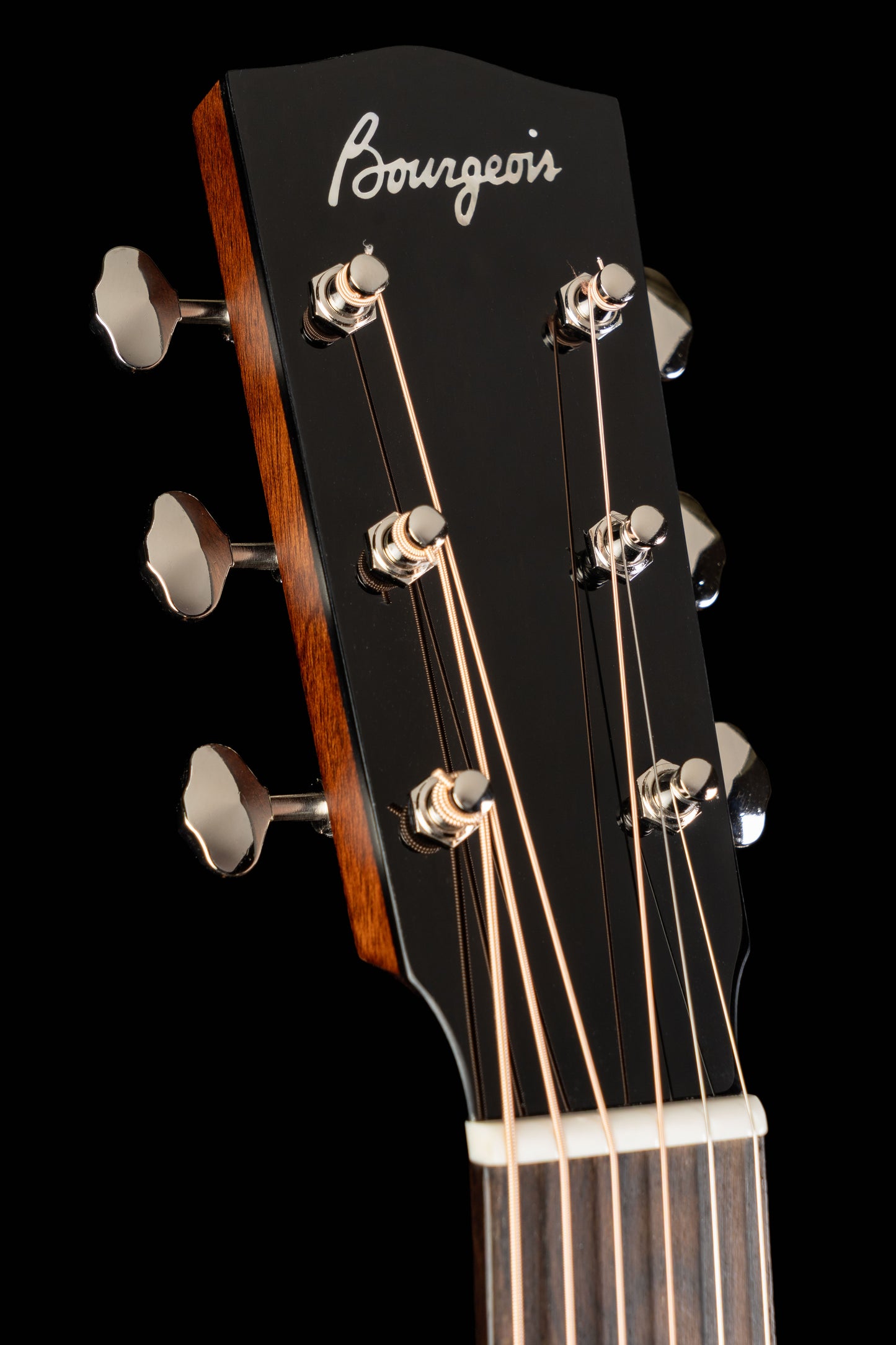Bourgeois Downeast Series SDS/DE Walnut-LE