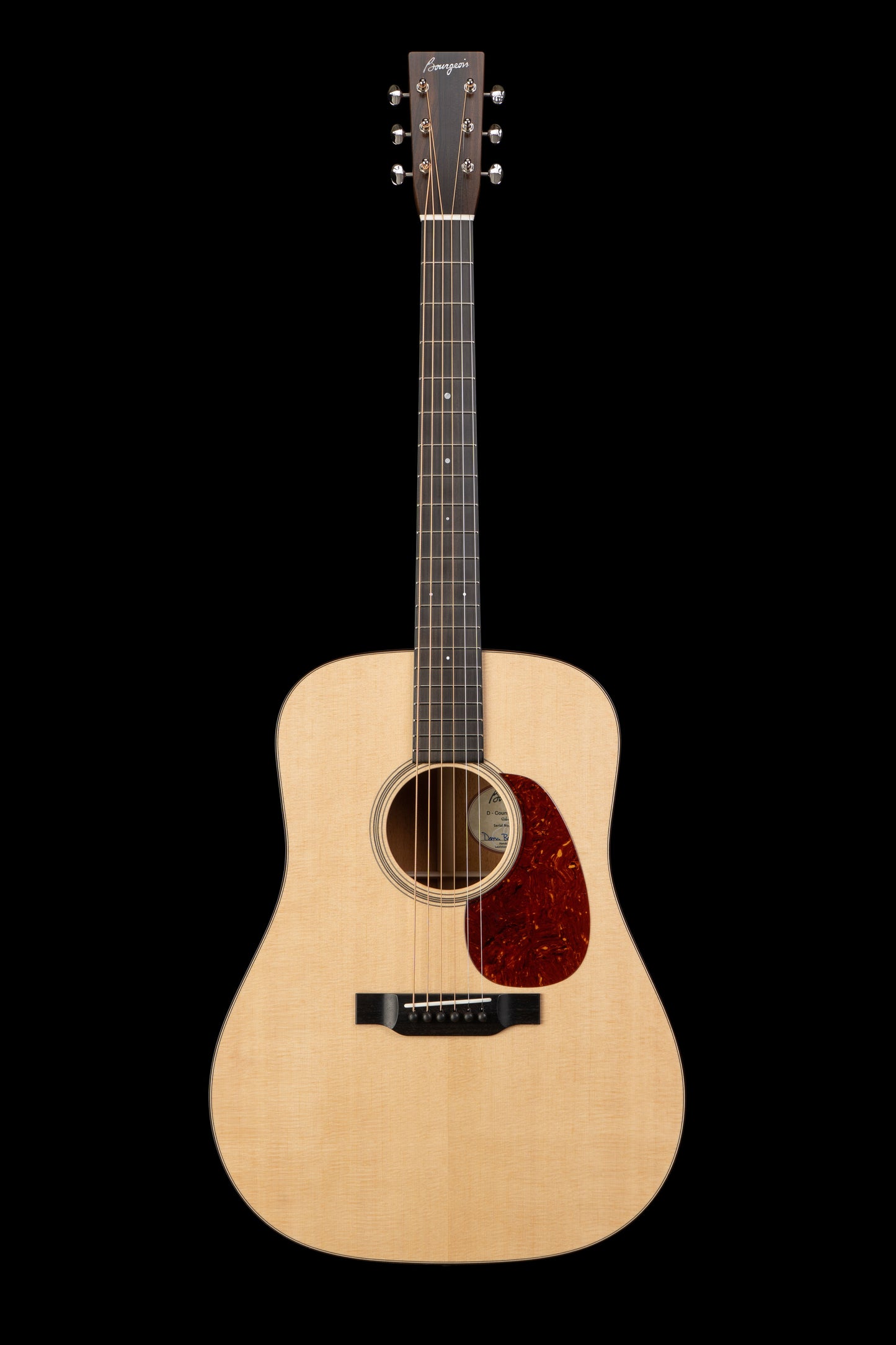 Bourgeois Professional Series Country Boy Dreadnought PS