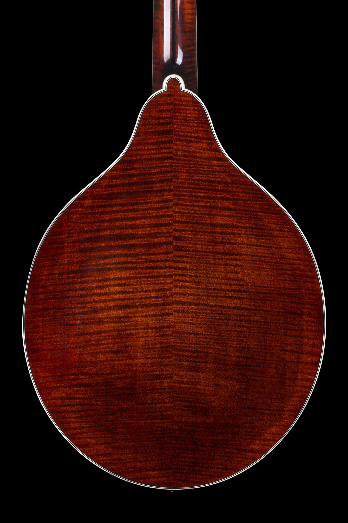 Bourgeois M5O Black-Top Octave Mandolin