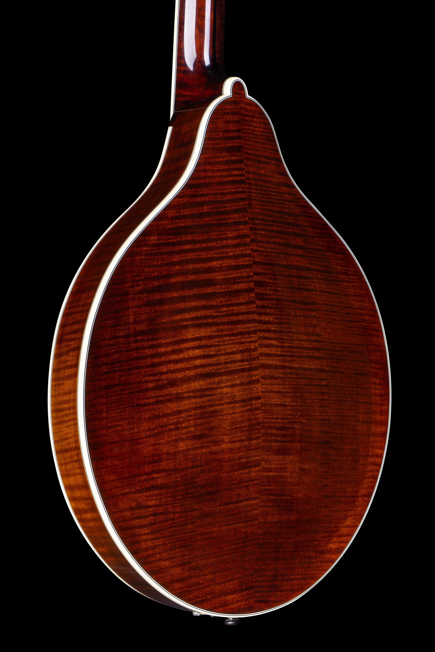 Bourgeois M5O Black-Top Octave Mandolin