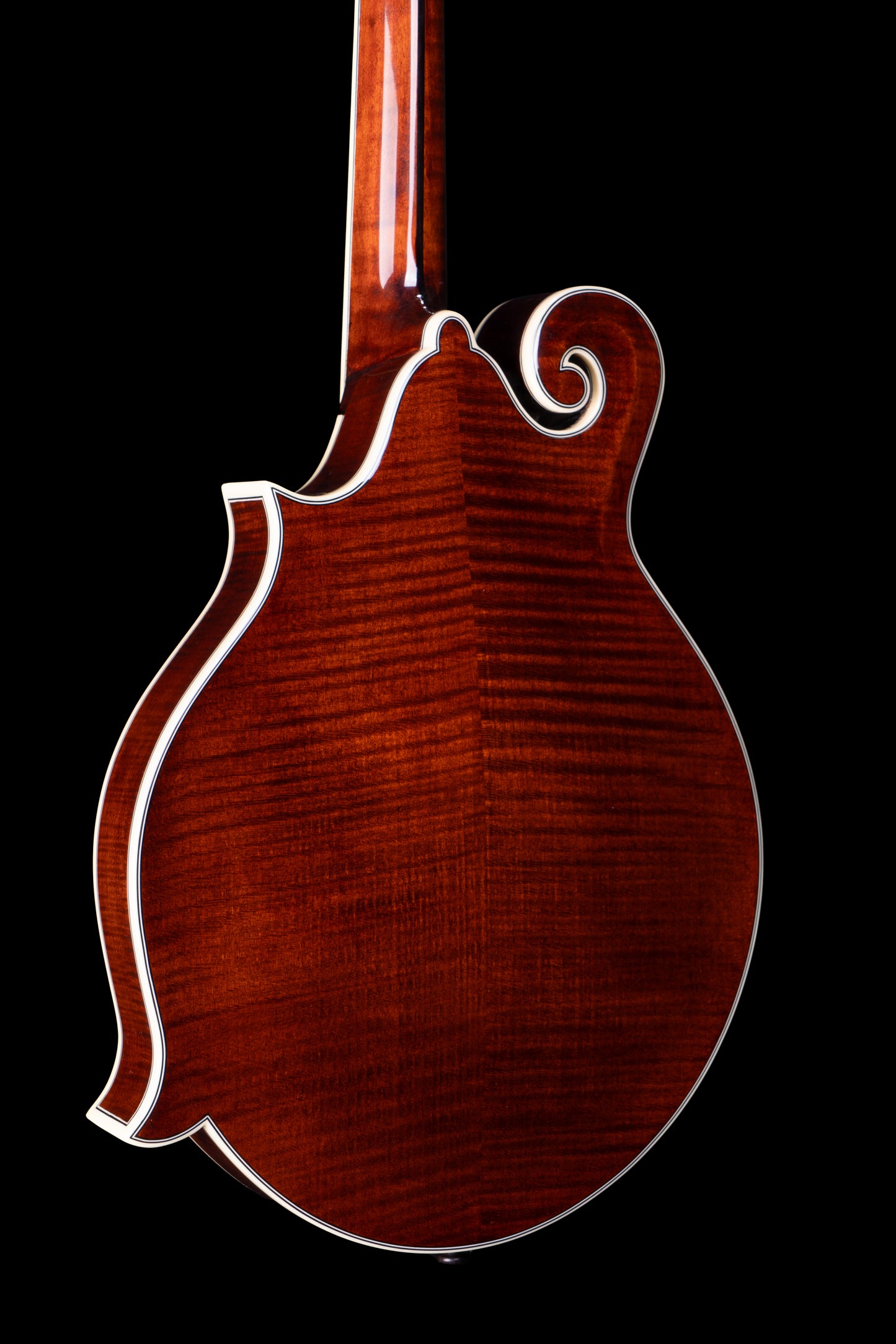 Bourgeois M5F Black-Top Mandolin