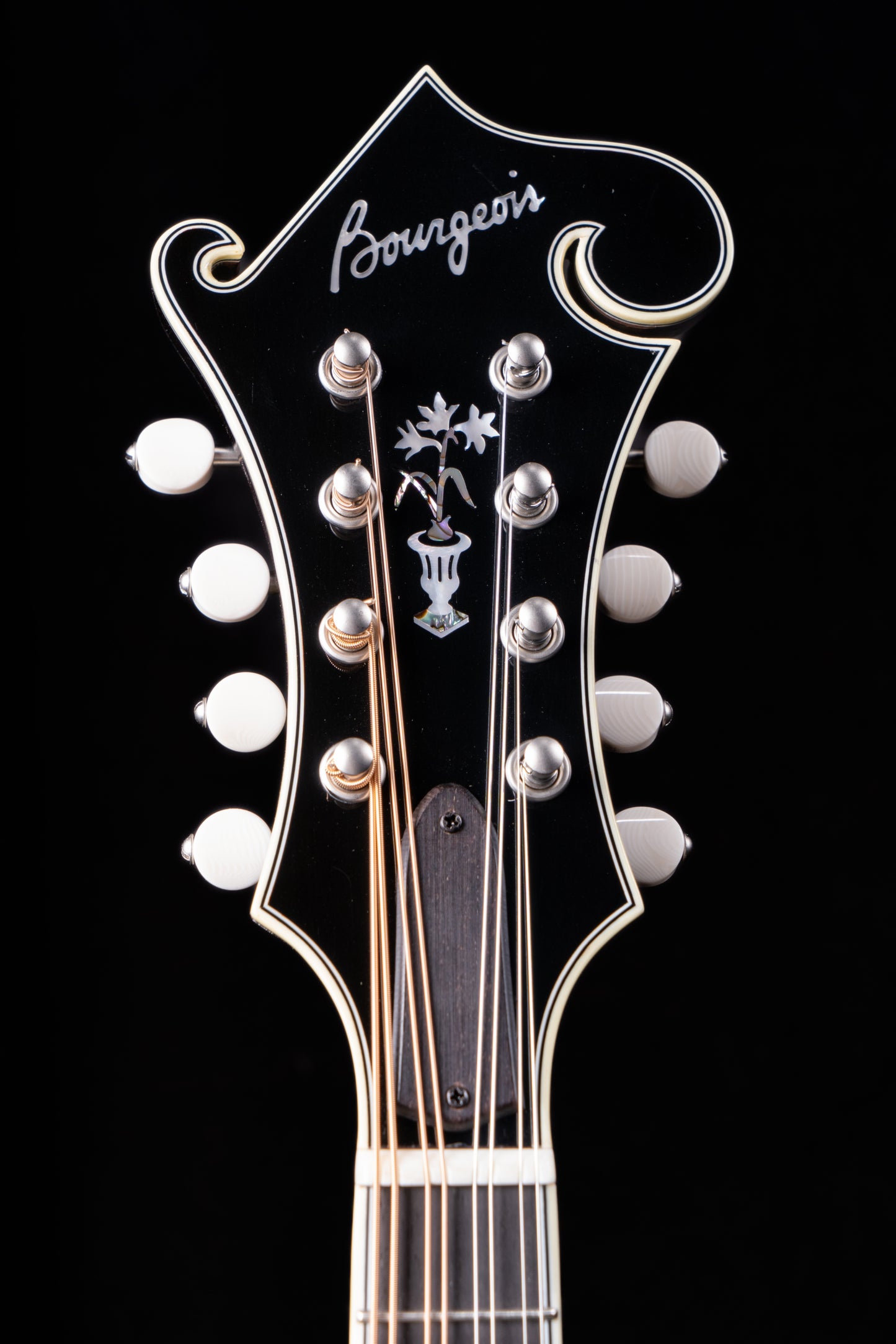 Bourgeois M5F Black-Top Mandolin