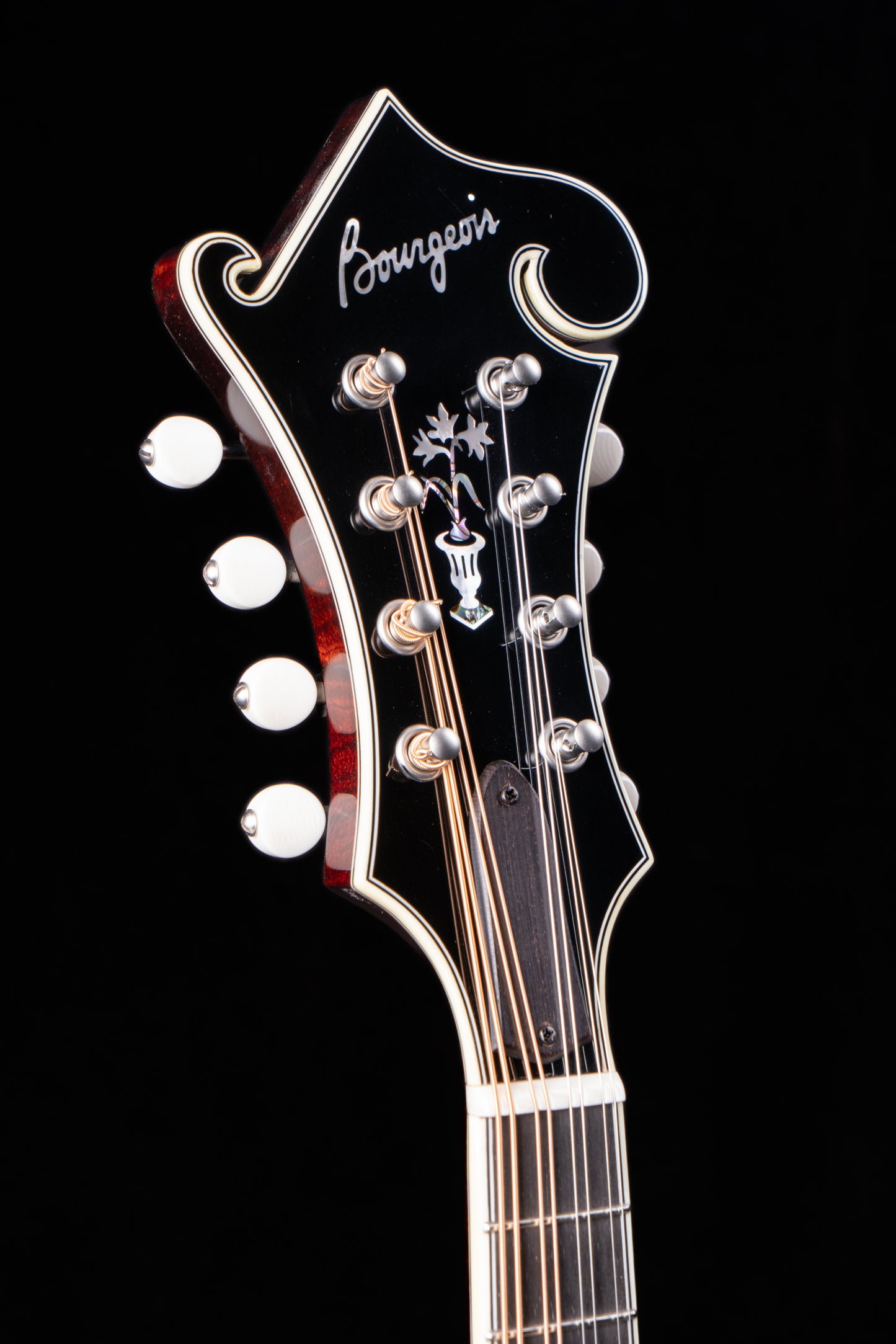 Bourgeois M5F Black-Top Mandolin
