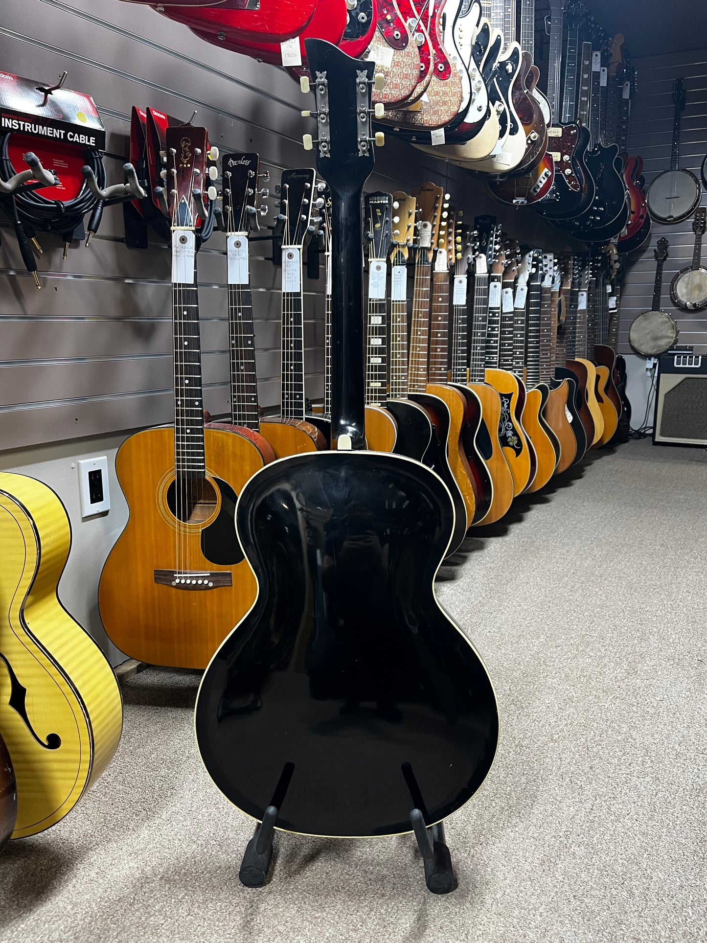 Hoyer Arnold Linberg Samba Schiagotarre Model 1955 Acoustic Guitar