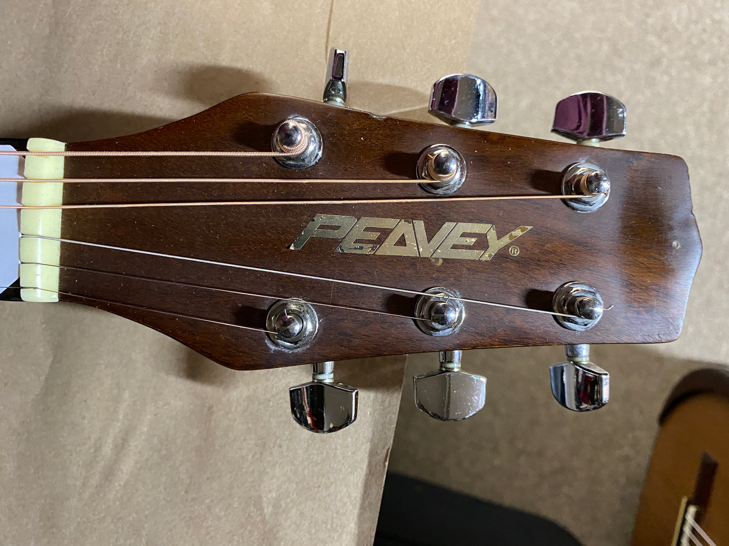 Peavey Topelo AE 1999-2001 Korea Acoustic Guitar