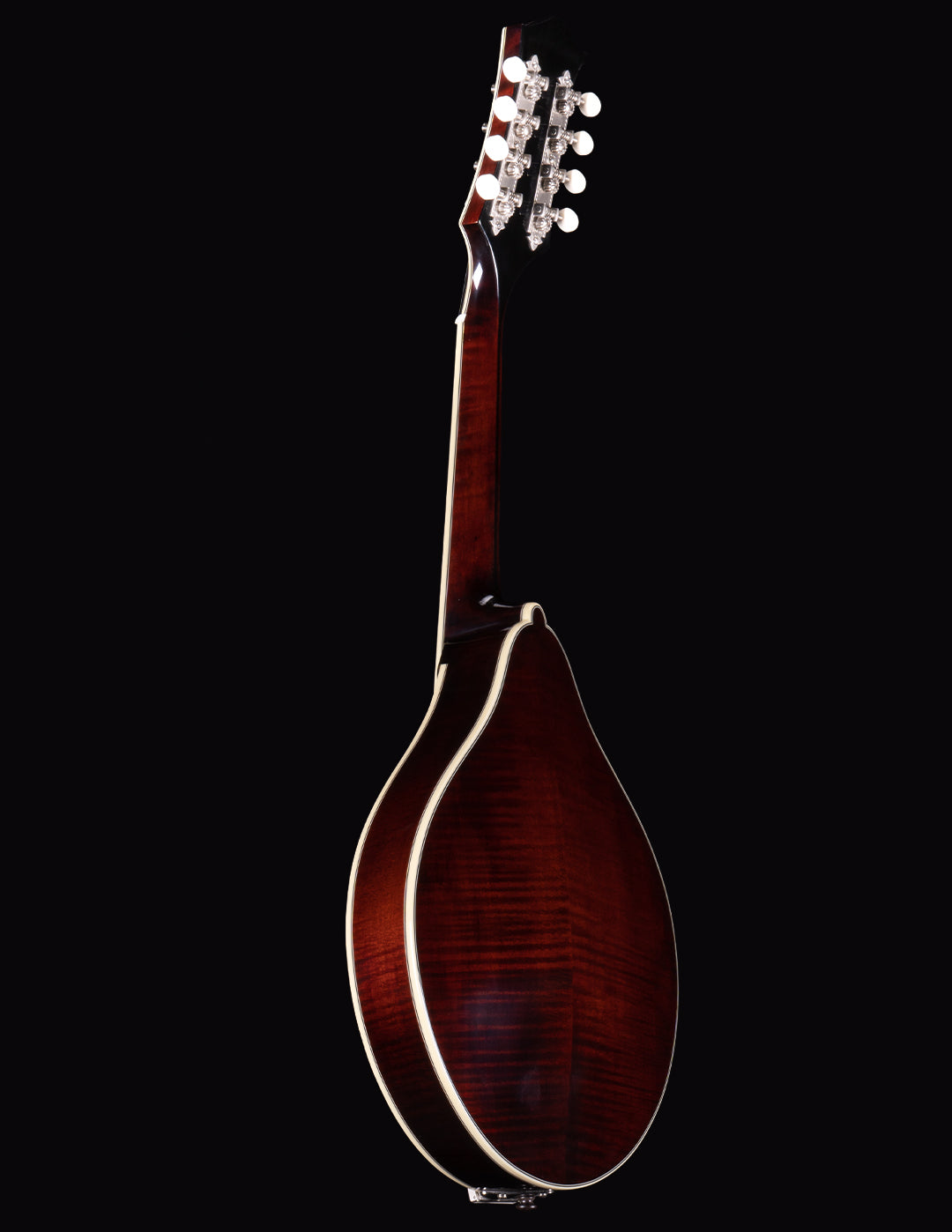 Bourgeois M5A Black-Top Mandolin