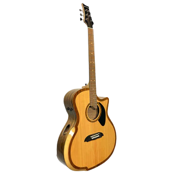 Riversong P2P GA Baritone Guitar