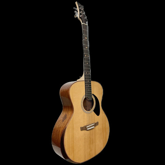 Riversong P555-A (Folker) Acoustic Guitar