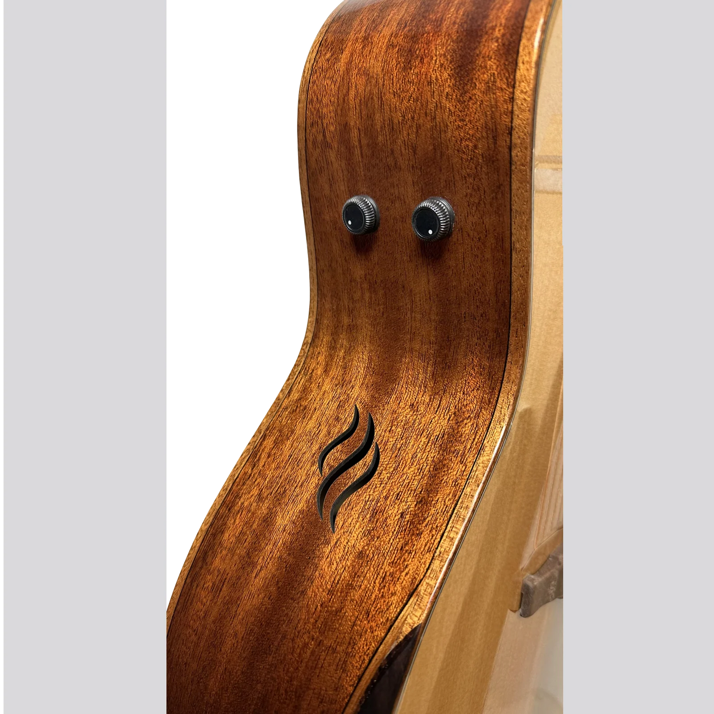 Riversong Dragon Slayer (P555CEA) Acoustic Guitar
