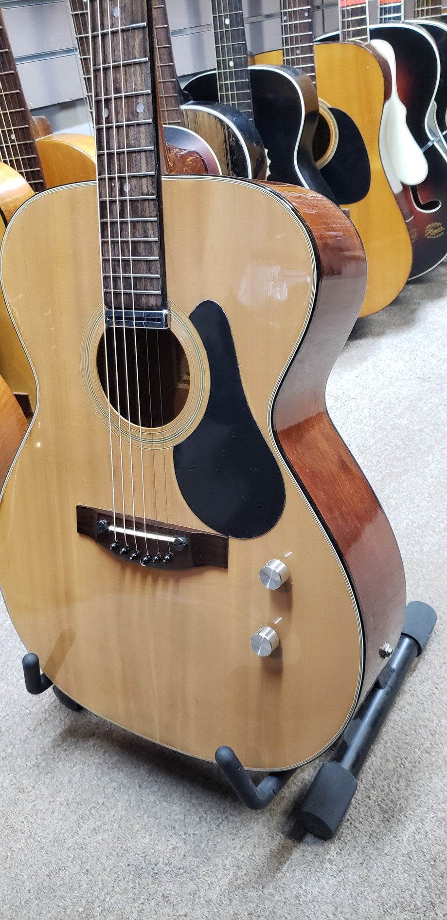 Ventura Bruno V-2 E Made in Japan Acoustic Guitar 1960s-1970s