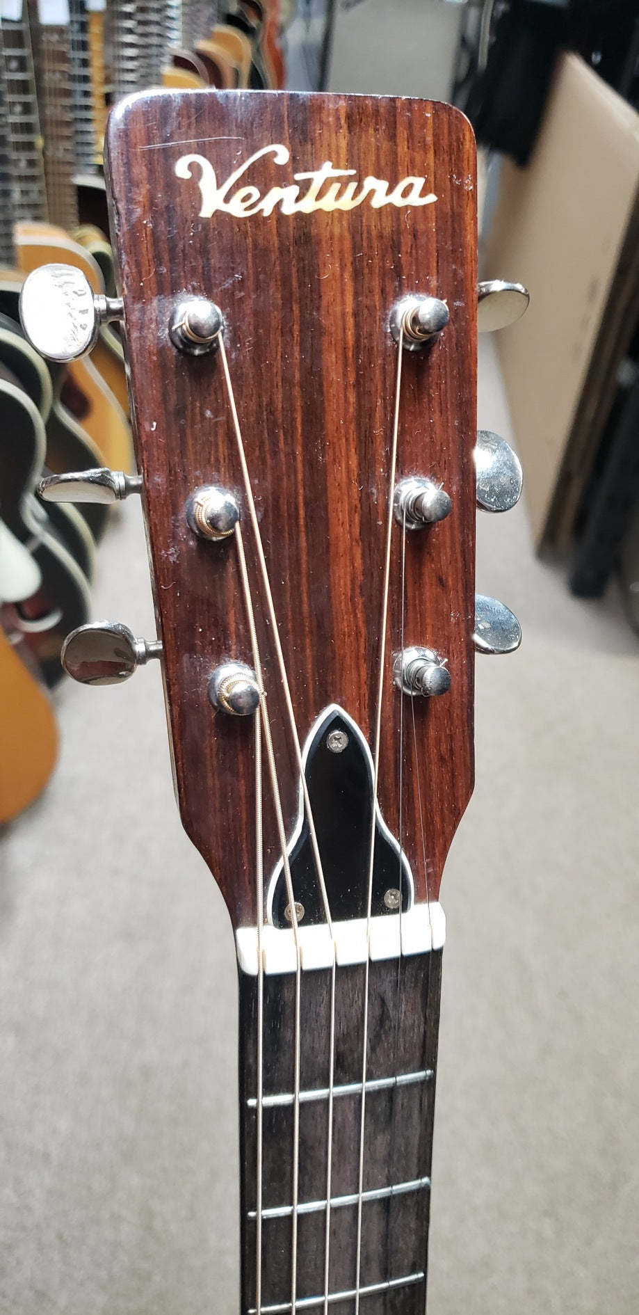 Ventura Bruno V-2 E Made in Japan Acoustic Guitar 1960s-1970s