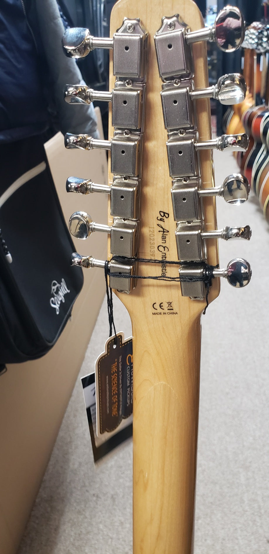 Revelation VTX63/12 White Electric Guitar