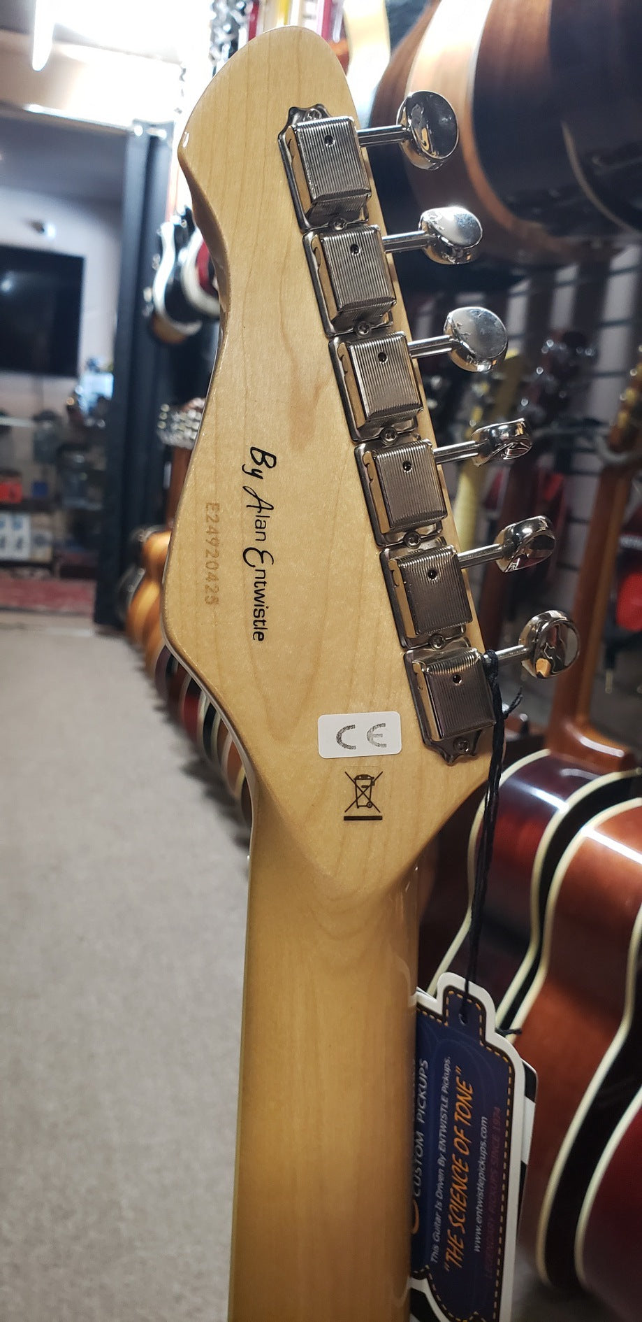 Revelation RFT DLX Thinline Honey Burst Electric Guitar