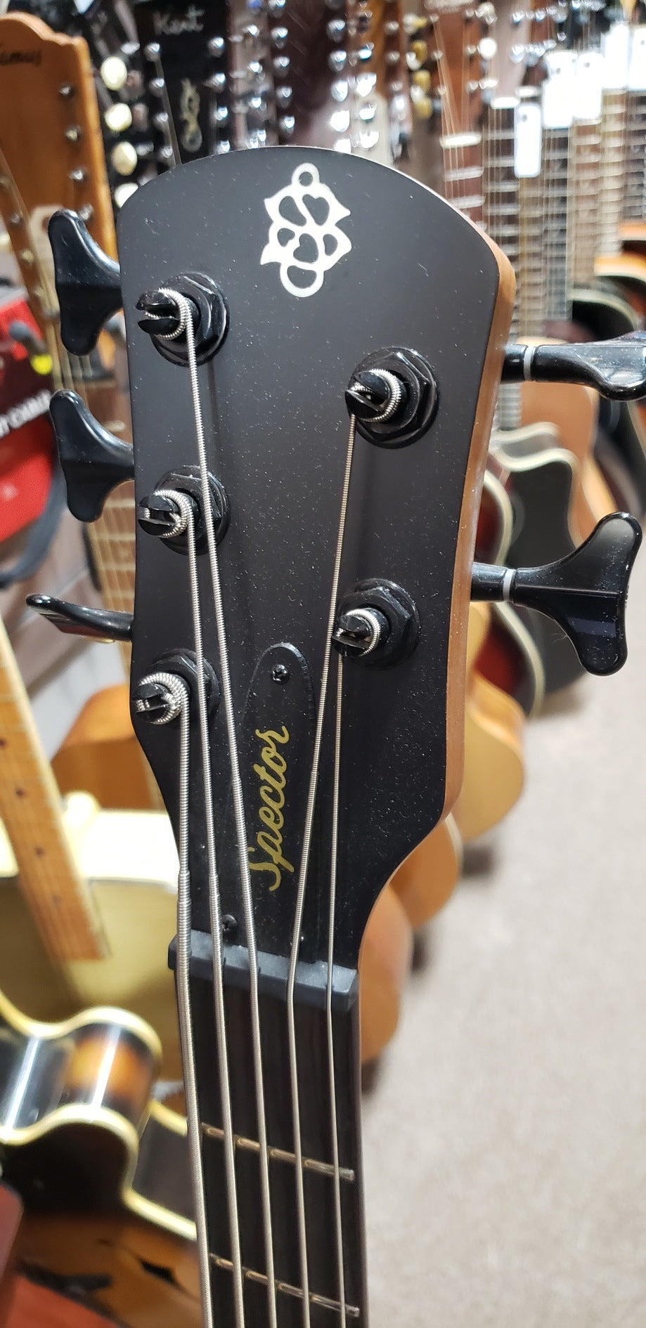 Spector Bass NS Pulse II 5-String Bass Guitar - Black Cherry Matte