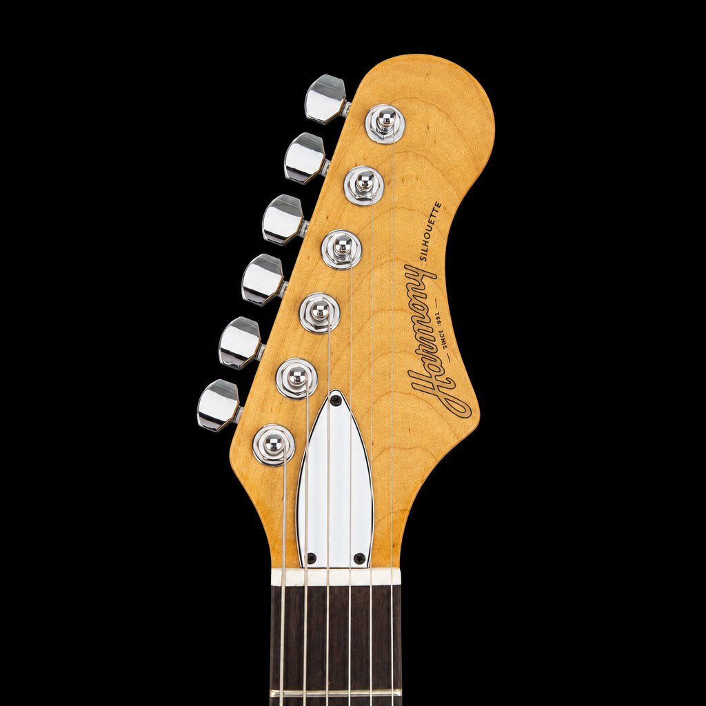 Harmony Silhouette with Bigsby B5 w/ MONO Vertigo Case –  Slate