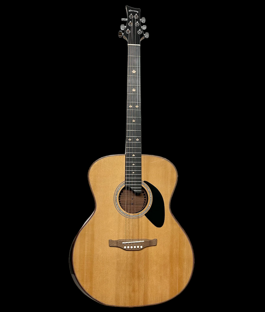 Riversong Folker (P555-A) Acoustic Guitar