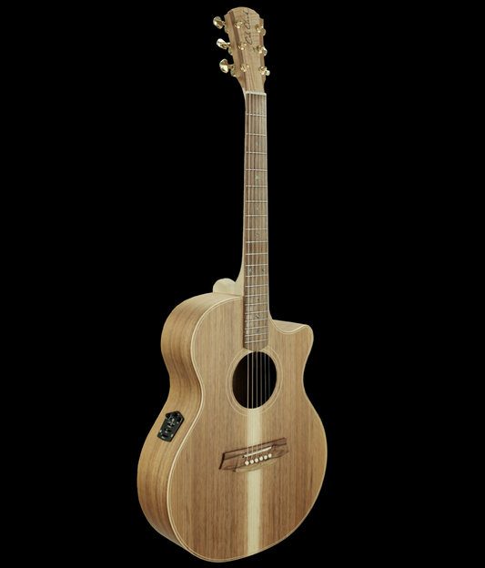 Cole Clark Angel 2 Blackwood CCAN2EC-BLBL Acoustic Guitar