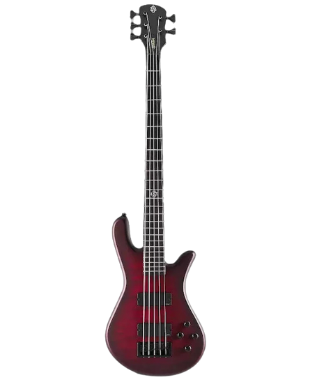 Spector NS Pulse II Black Cherry Matte 5 String Bass