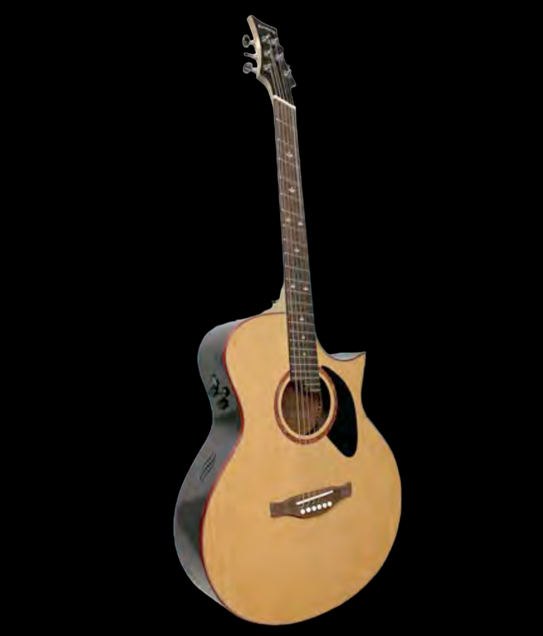 Riversong  Stylist CS (fanned frets) Acoustic Guitar