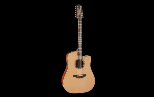 Takamine P3NC 12