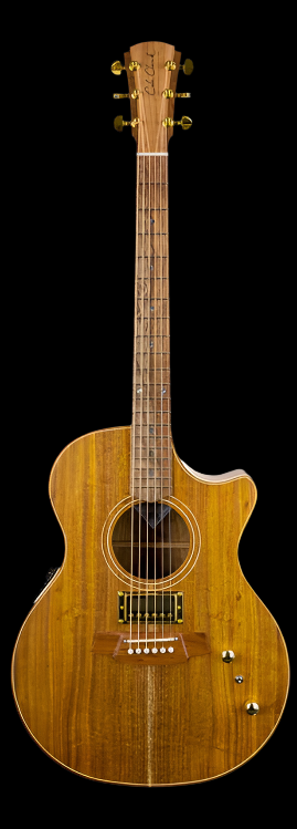 Cole Clark Angel 2 Blackwood CCAN2EC-BLBL-HUM Acoustic Guitar