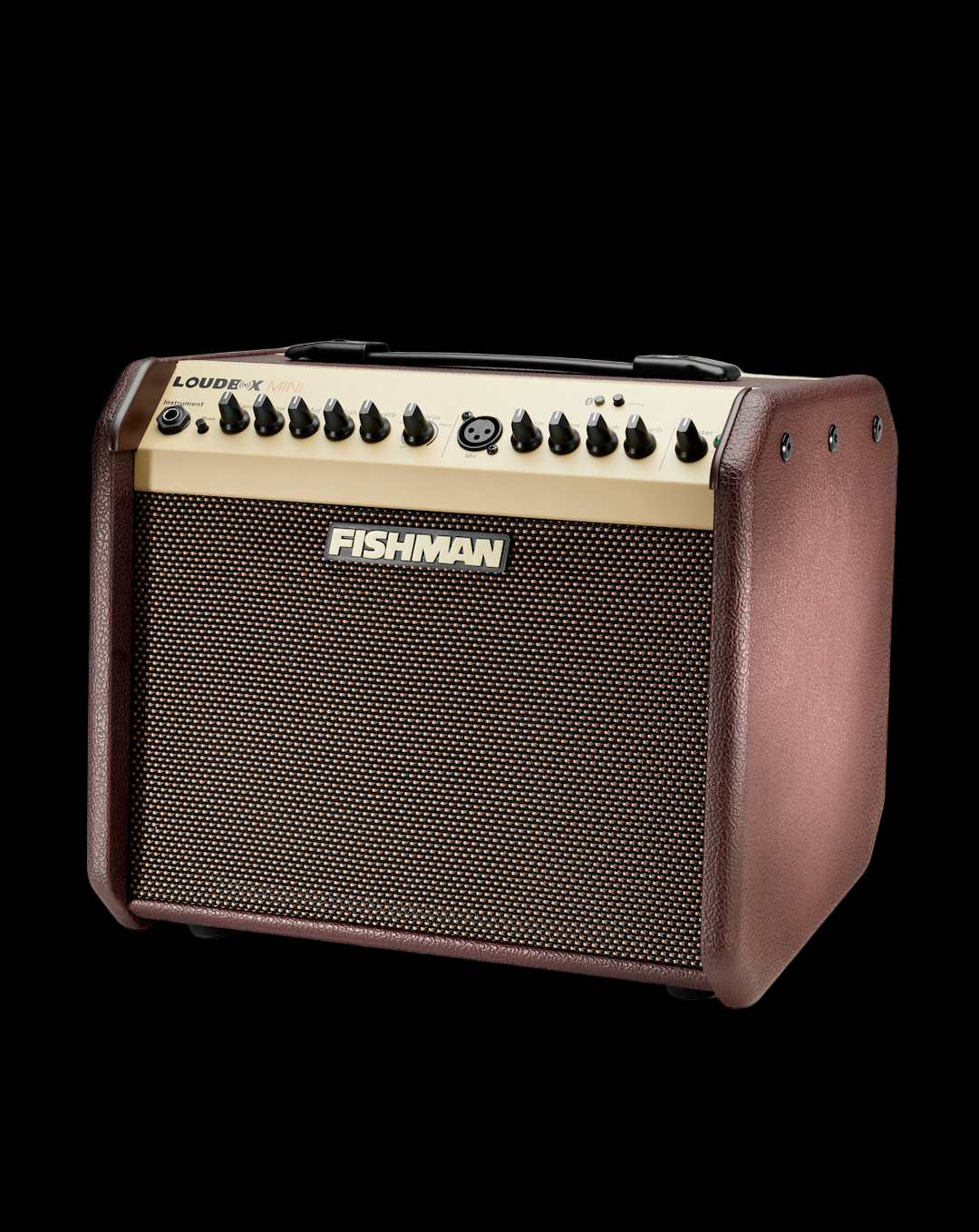Fishman Loudbox Mini with Bluetooth 60W Amplifier