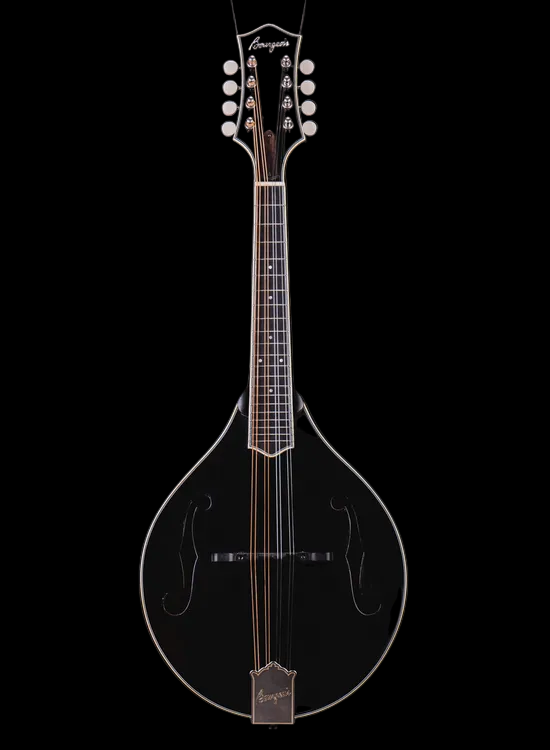 Bourgeois M5A Black-Top Mandolin