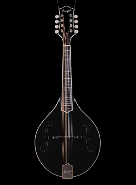 Bourgeois M5A Black-Top Mandolin